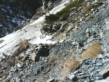 sortie aval de vire entre les 2 falaises - sentier opposÃ© visible