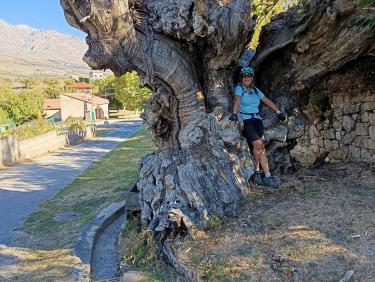 Sortie Calacuccia croix de Bocca Croce ( vue sur le monte Cinto)