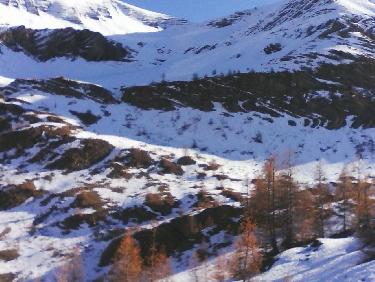 sortie de forÃªt , direction le col des croix (entre soleil-boeuf et la tÃªte de l&apos;hivernet)