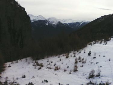 sortie de forÃªt et triade prÃ©cÃ©dente