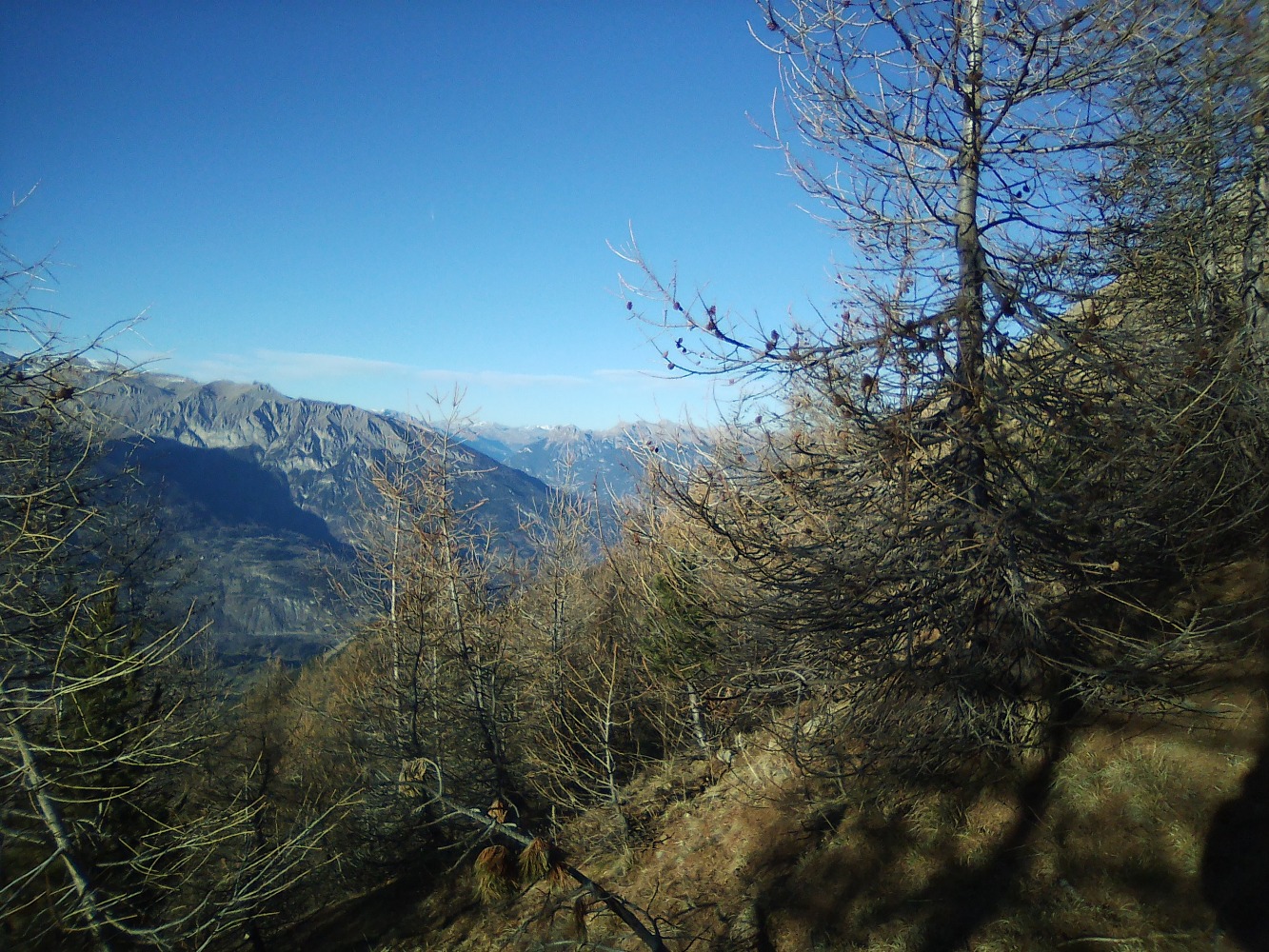 sortie de forÃªt- vers la tÃªte de clotinaille