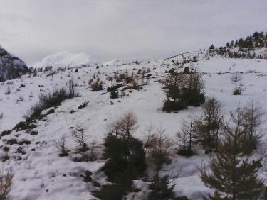 sortie de forÃªt : vers le vallon de la RabiÃ¨re