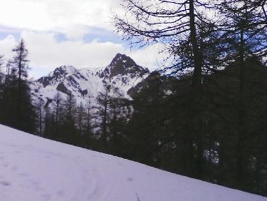 sortie de forÃªt: vue vers la TÃªte de Gaulent
