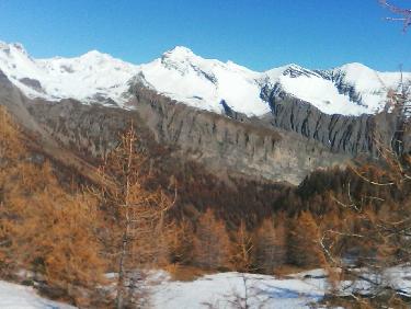 sortie de forÃªt - vue vers le distroit