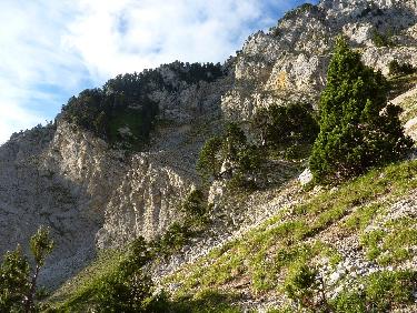 Sortie de la forÃªt