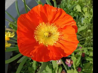 Sortie très matinale