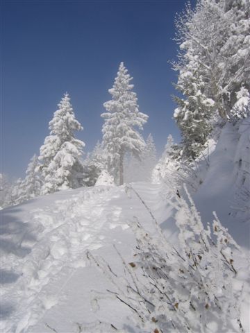 sortie de brume