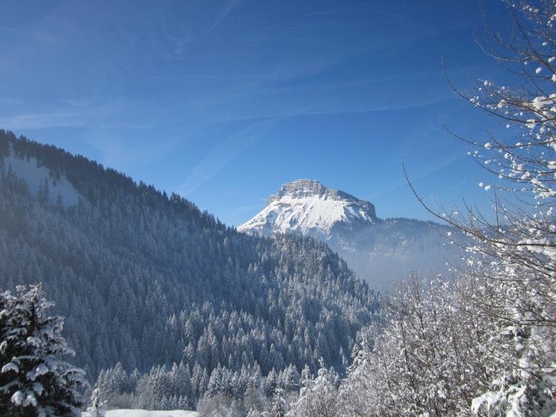 sortie des bois