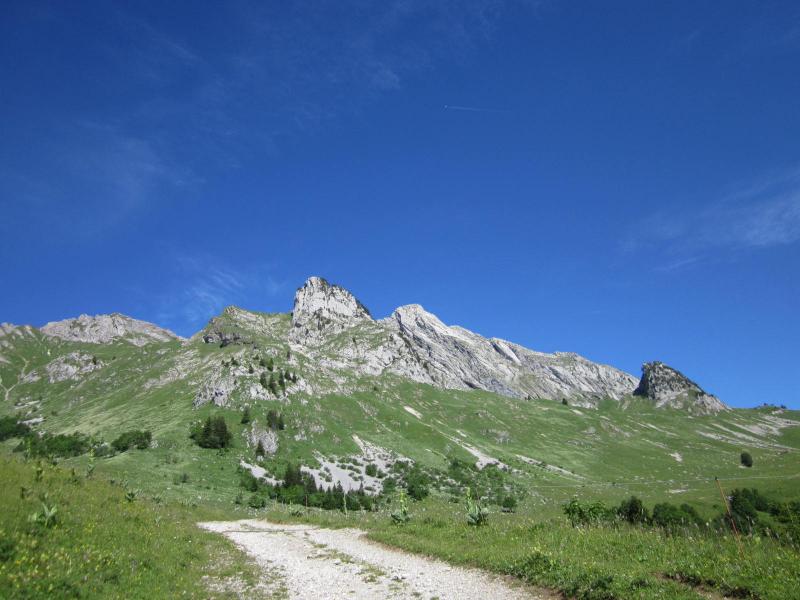 sortie des bois