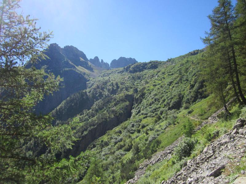 sortie des bois