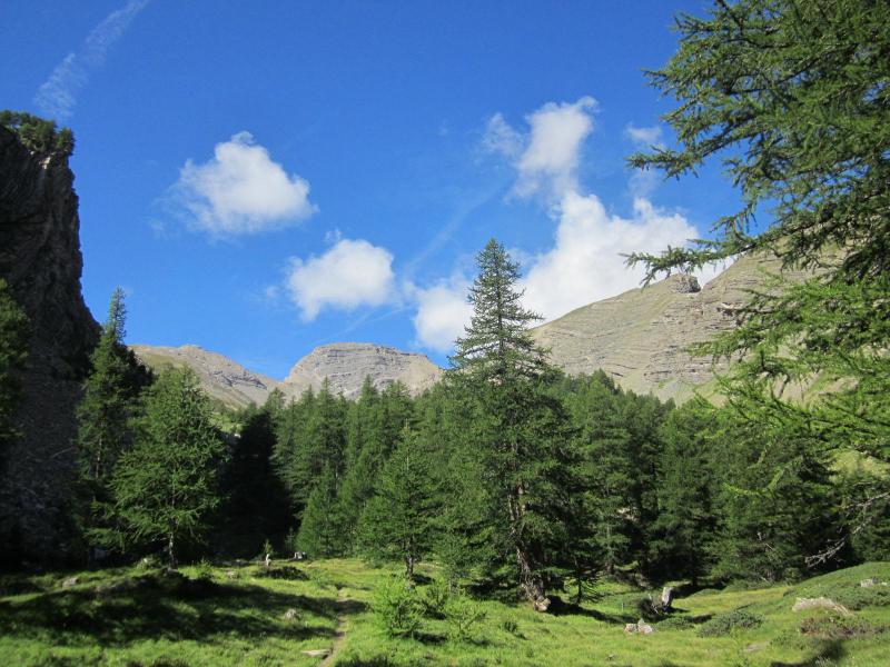 sortie des mélèzes