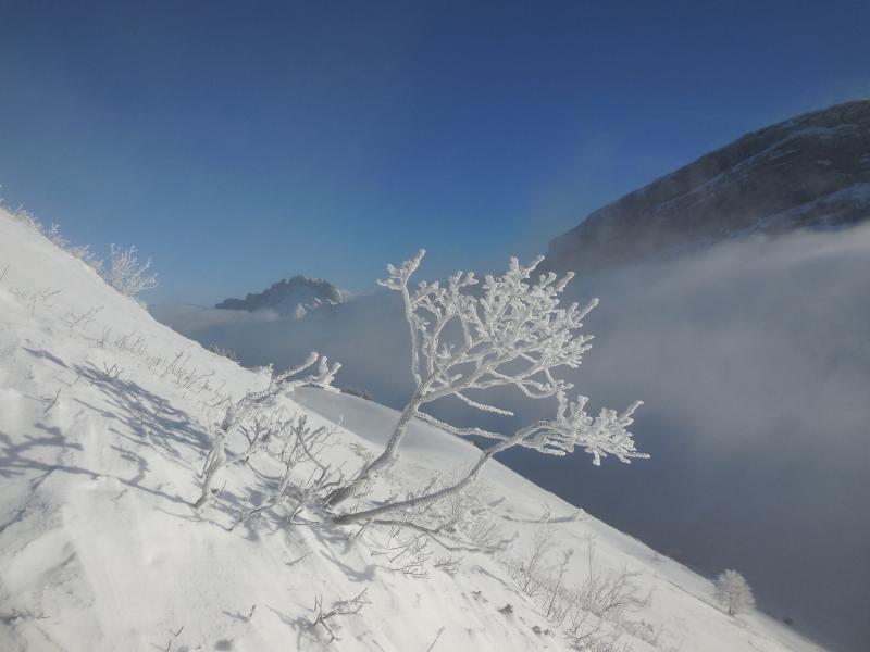 sortie du brouillard bis