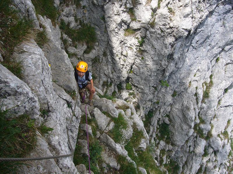 sortie partie cablée