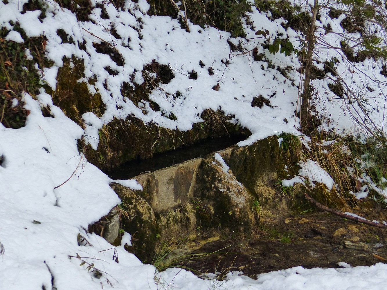 Source aprÃ¨s les granges du Chazay