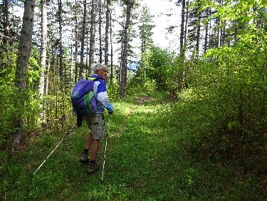 Sous-bois verdoyant vers 1200m au-dessus du rif de l&apos;Arc