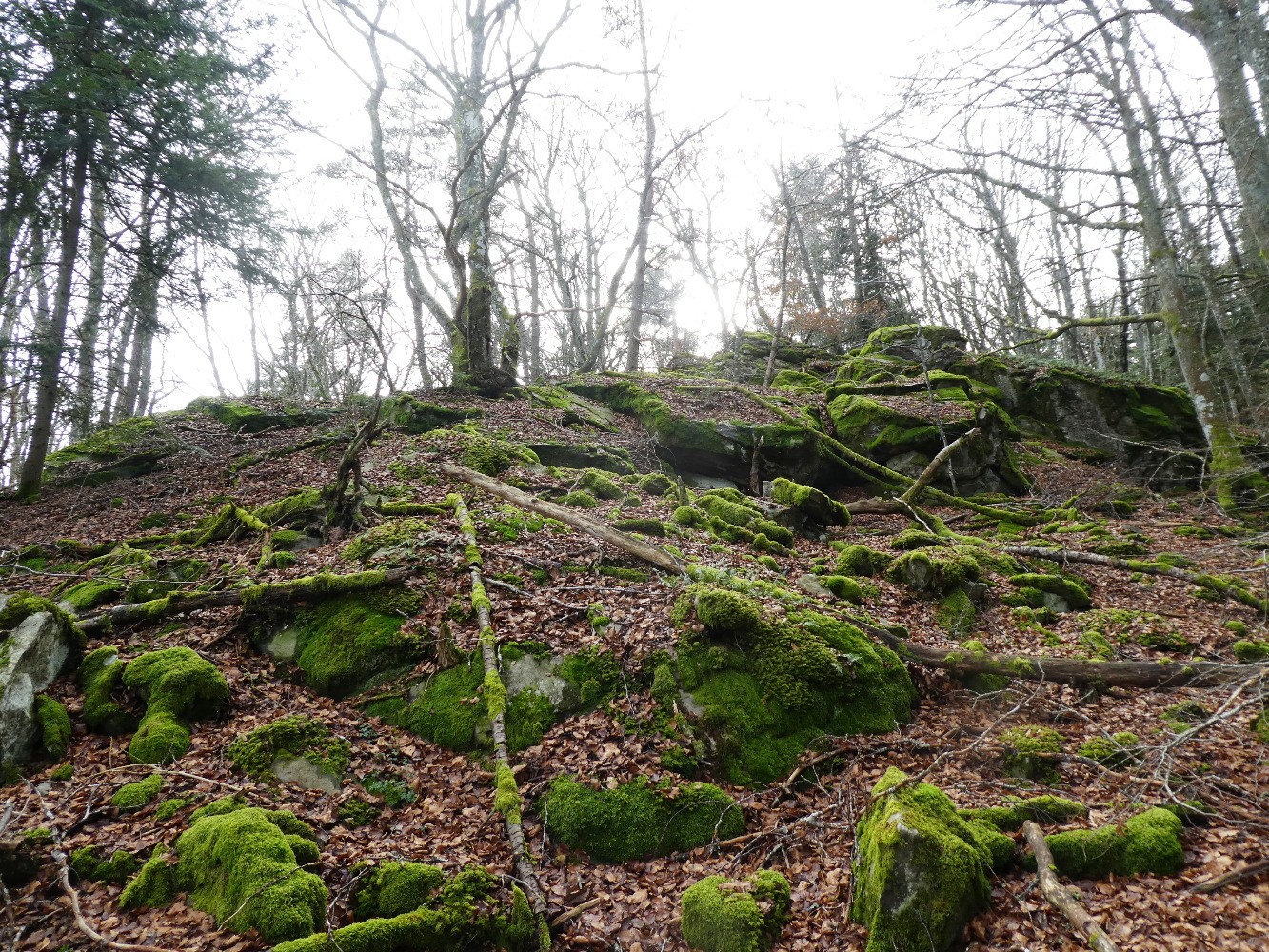 Sous le sommet du suc d'Emeral