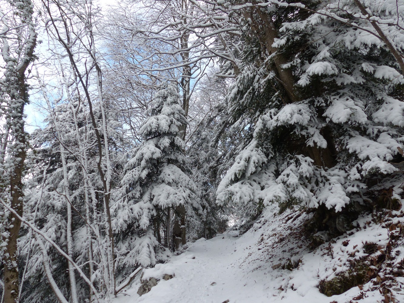 Sous le St Eynard
