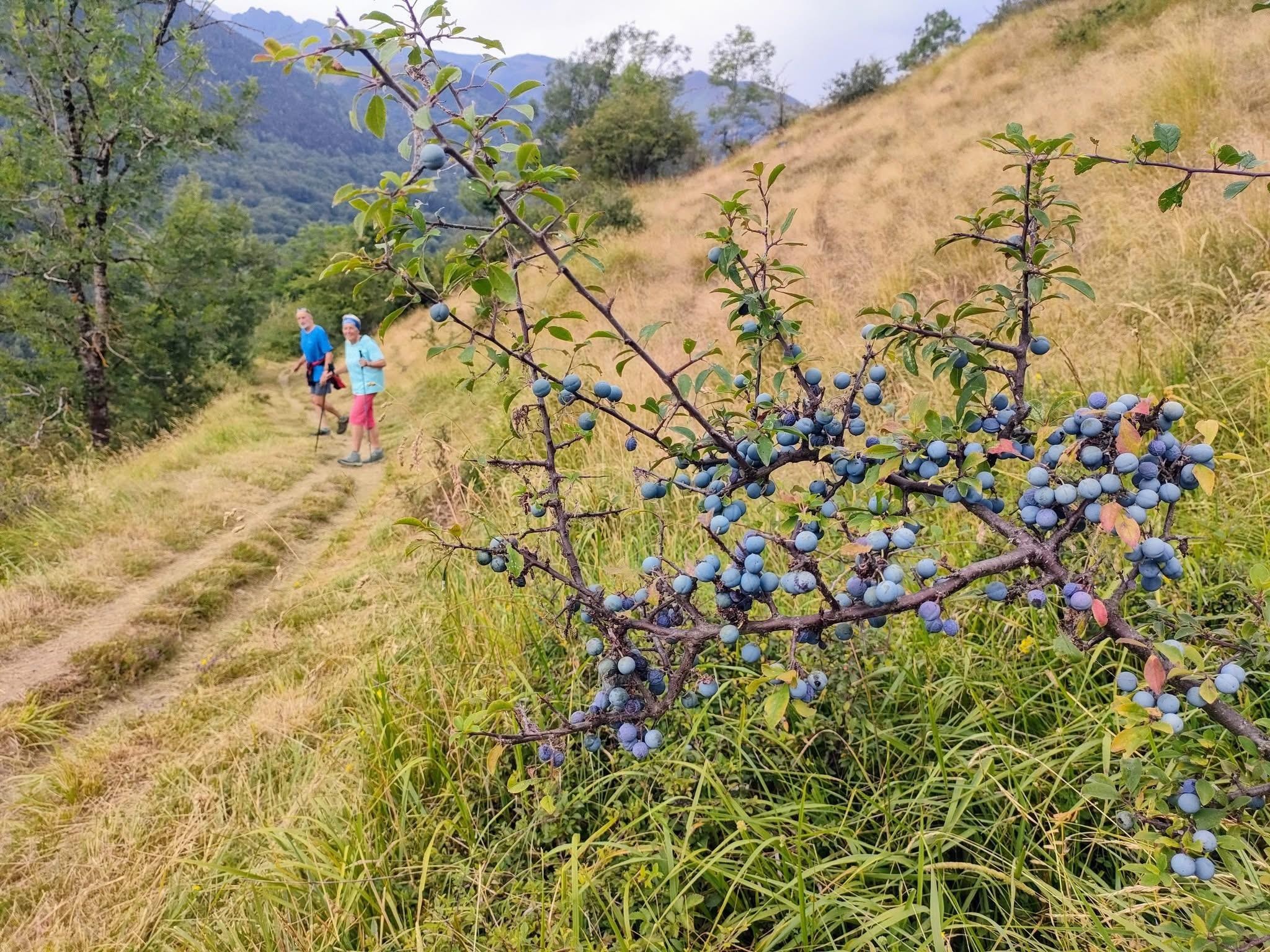 Sous la menace de l'orage 