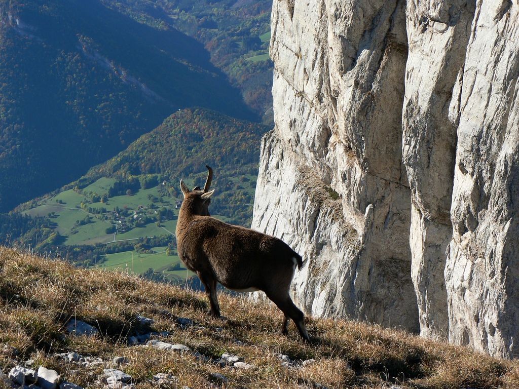 Sous Soeur Sophie, les falaises de Soeur Agathe