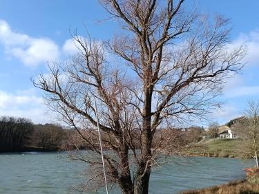 Sous le vent d'Autan