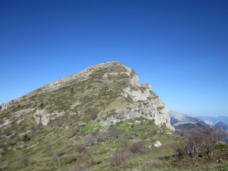 sous la Pale