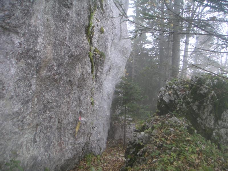 sous la falaise