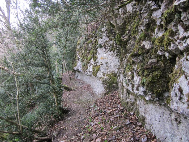 sous la falaise