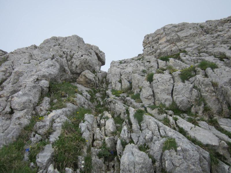 sous le Cornafion