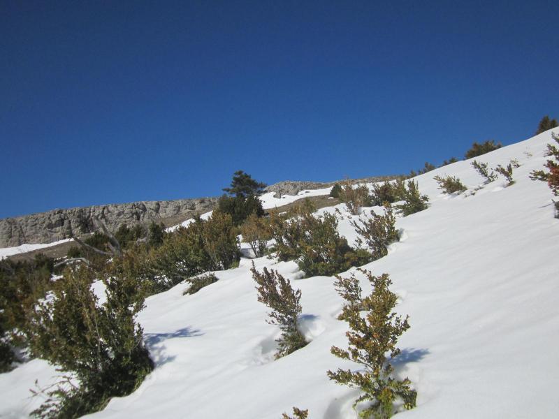sous le Pré des Chaux