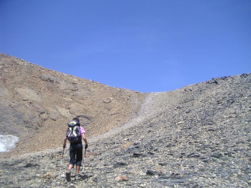 sous le col