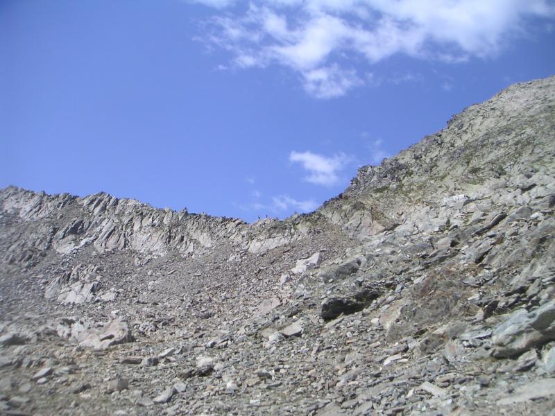 sous le col