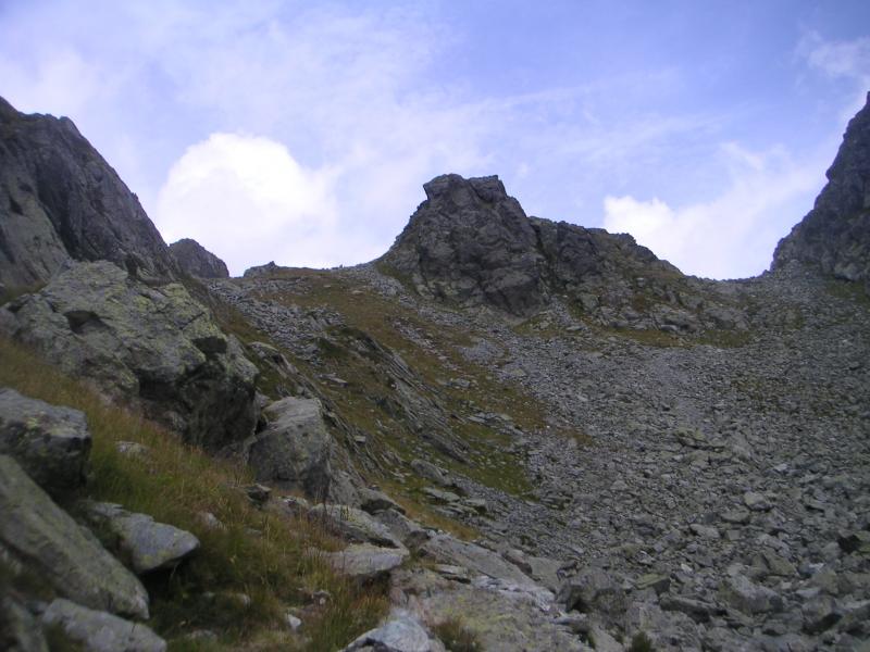sous le col