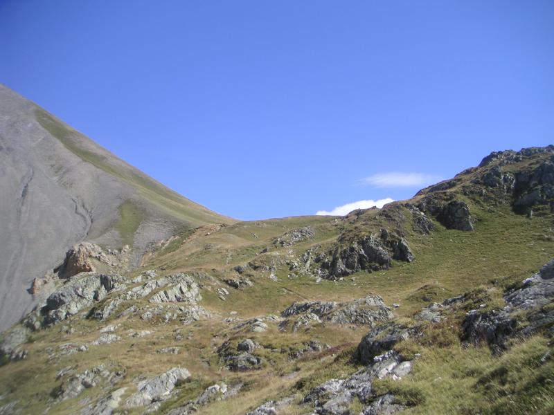 sous le col