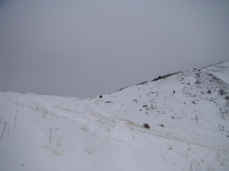 sous le col