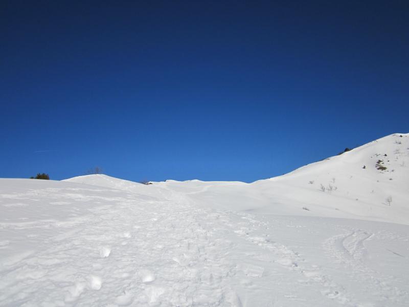 sous le col