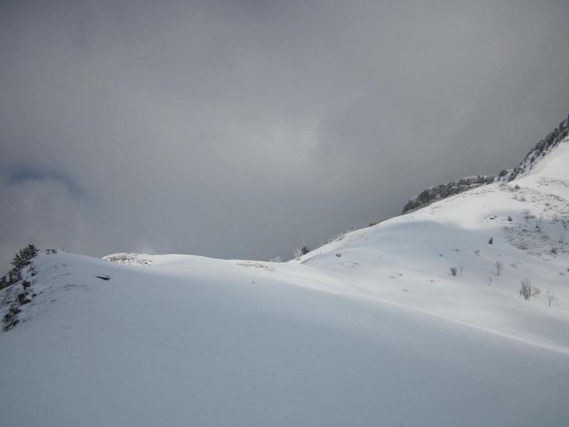 sous le col