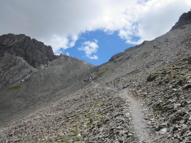 sous le col