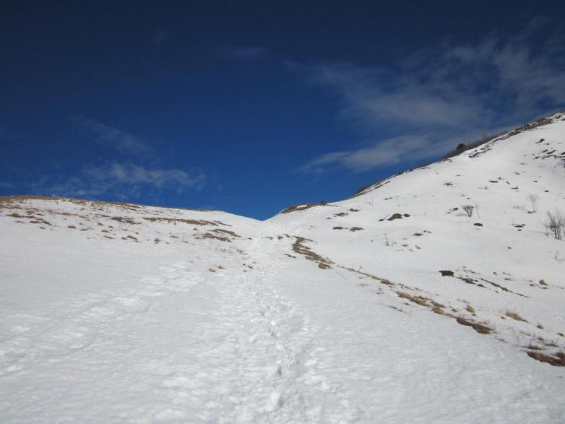 sous le col
