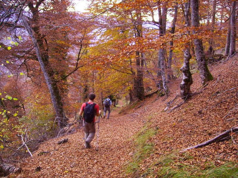 sous le col de caube