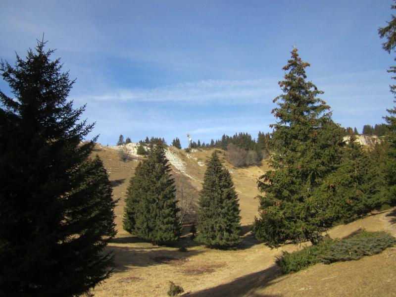 sous le pas de Bellecombe