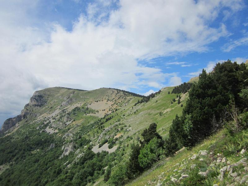 sous le plateau