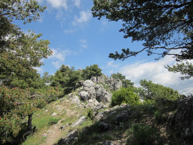 sous le sommet