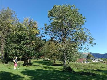 Souvenirs norvégiens