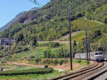 Souvenirs norvégiens