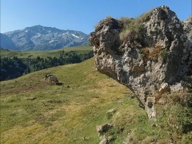 Le sphinx veille 