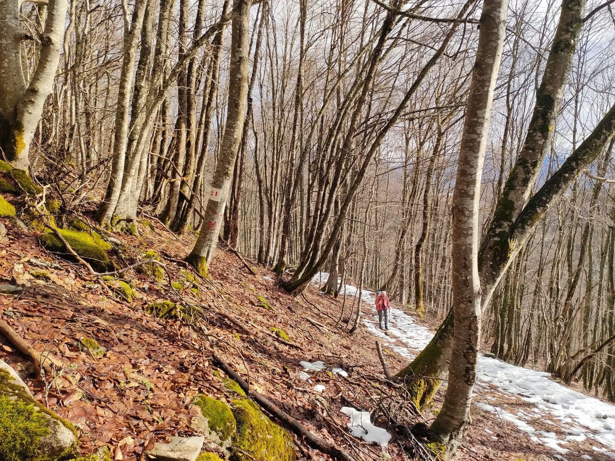 Splendide vol dans les Bauges