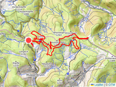 Stübenwasen mit Sophia