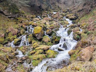 Sublime hameau de San Joan de Toran