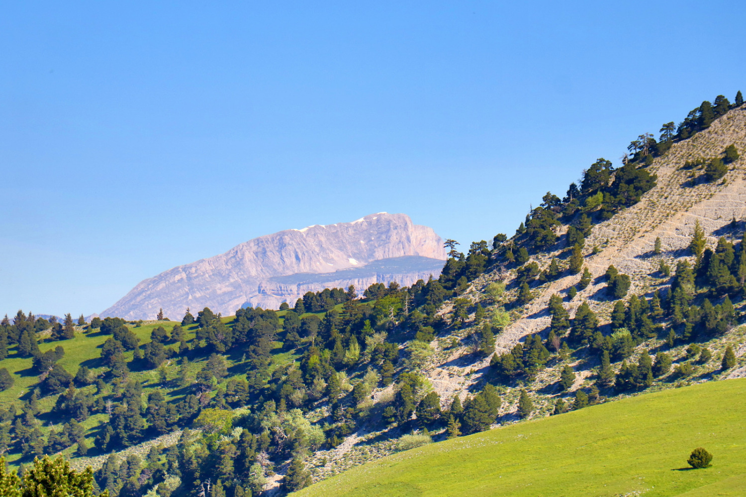 Sucettes de Borne - Jocou - Mont Barral depuis le Col de Menéé