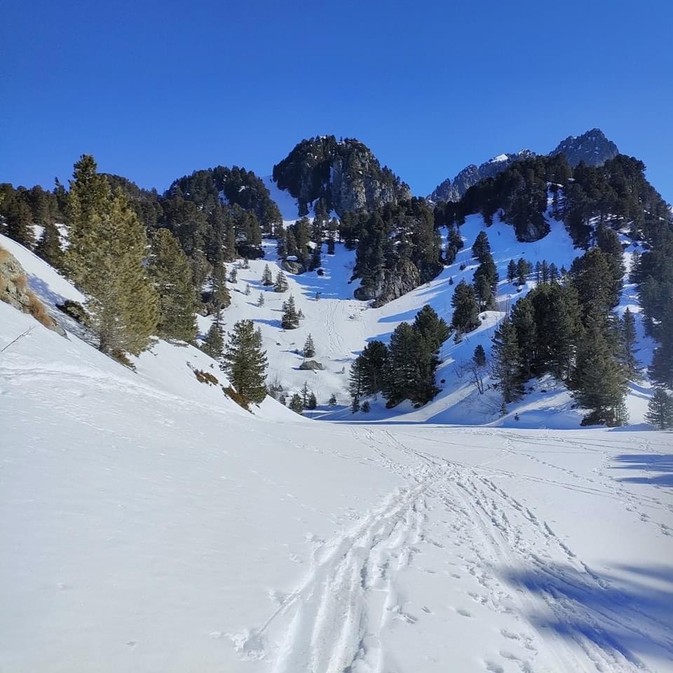 Suite et fin du ski fou 